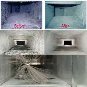 The Importance Of Indoor Air Quality